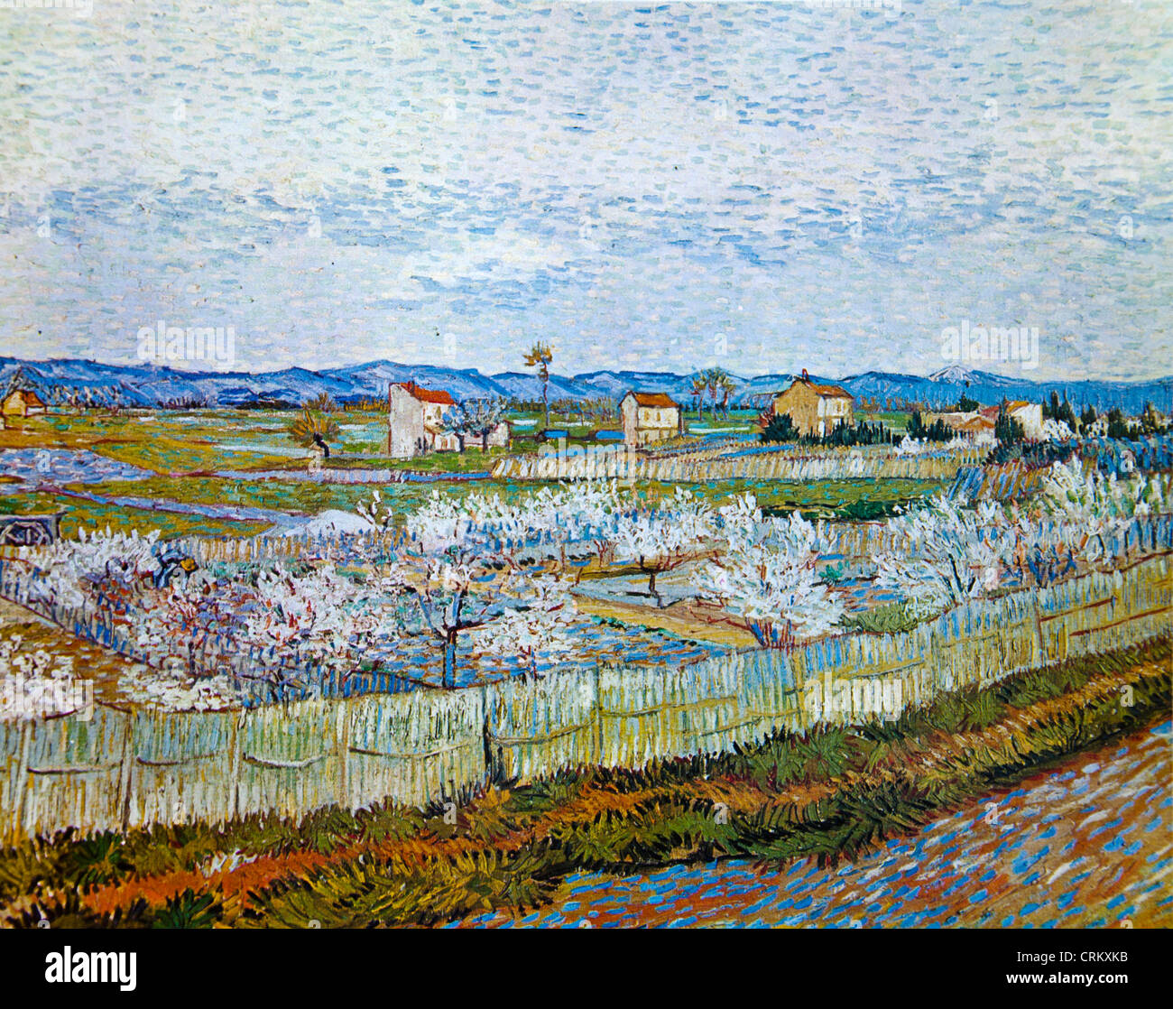 Paysage près d'Arles - Van Gogh Banque D'Images
