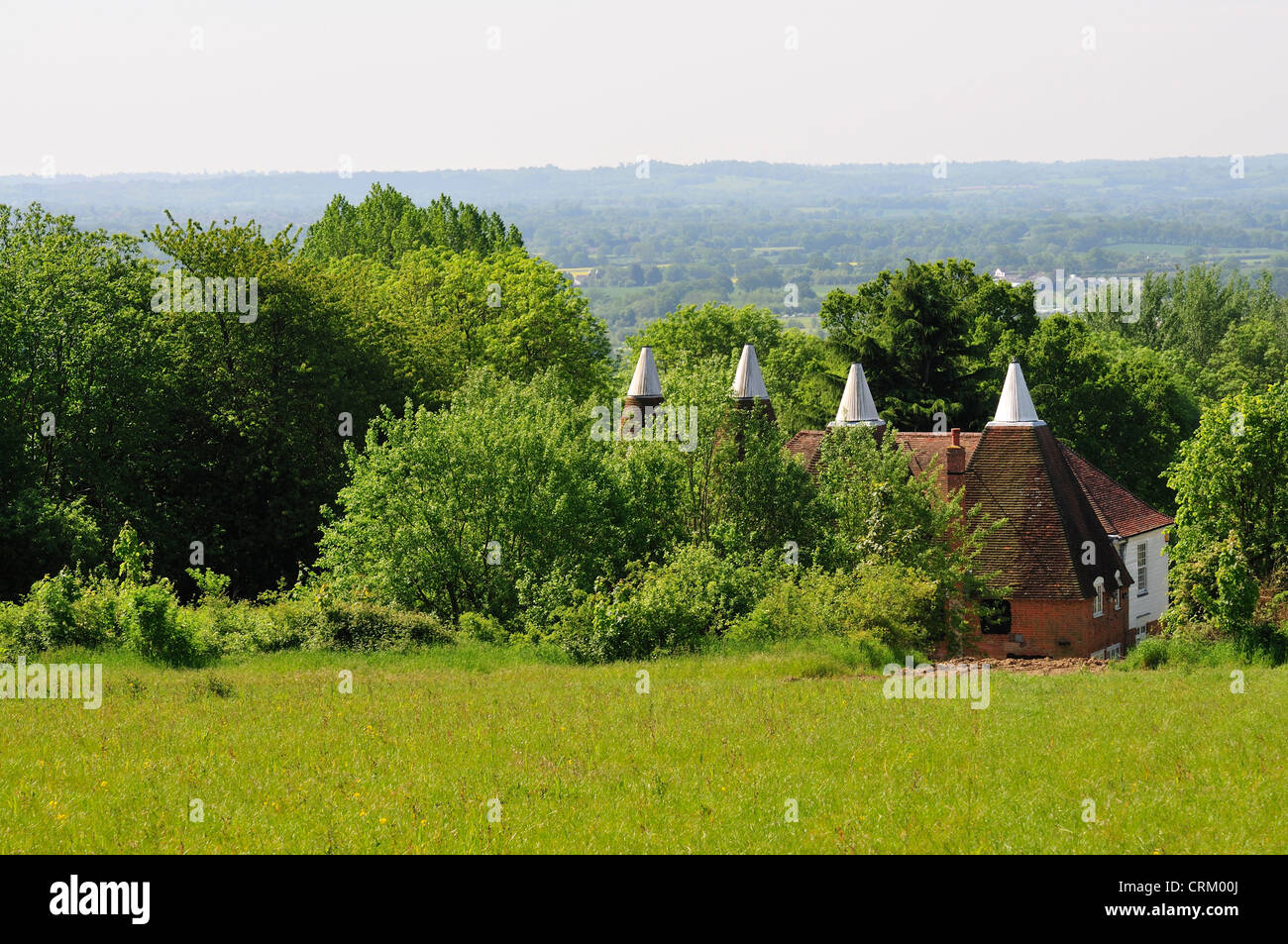 Boughton Monchelsea, Kent, Angleterre. Maisons Oast converti et vue sur le Weald of Kent Banque D'Images