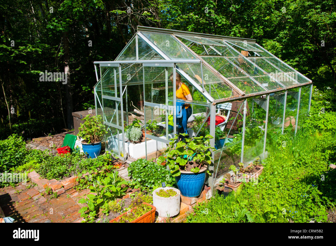 Serre à une parcelle de jardin privé Uusimaa Finlande Porvoo champ province du nord de l'Europe Banque D'Images