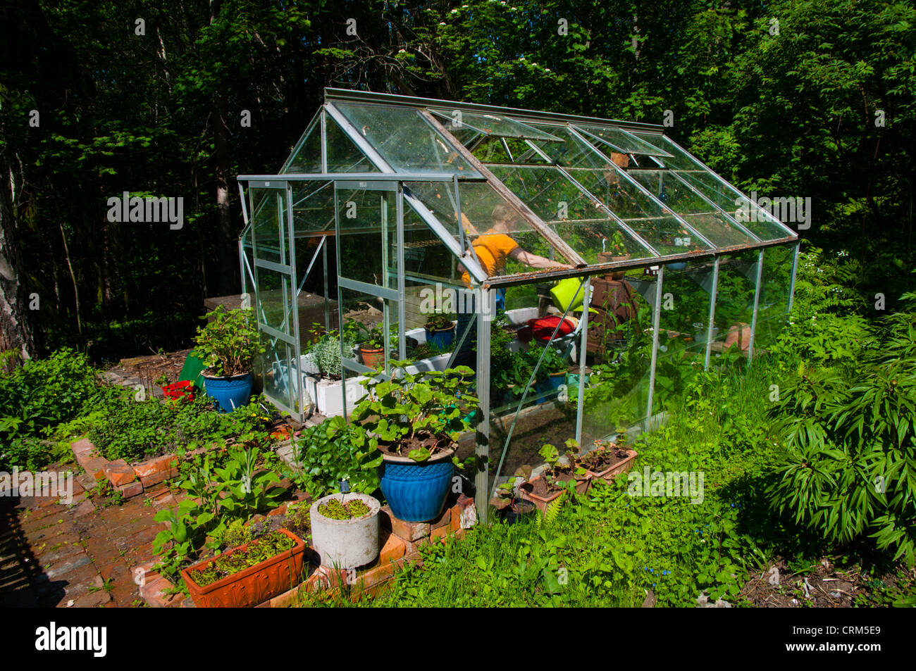 Serre à une parcelle de jardin privé Uusimaa Finlande Porvoo champ province du nord de l'Europe Banque D'Images