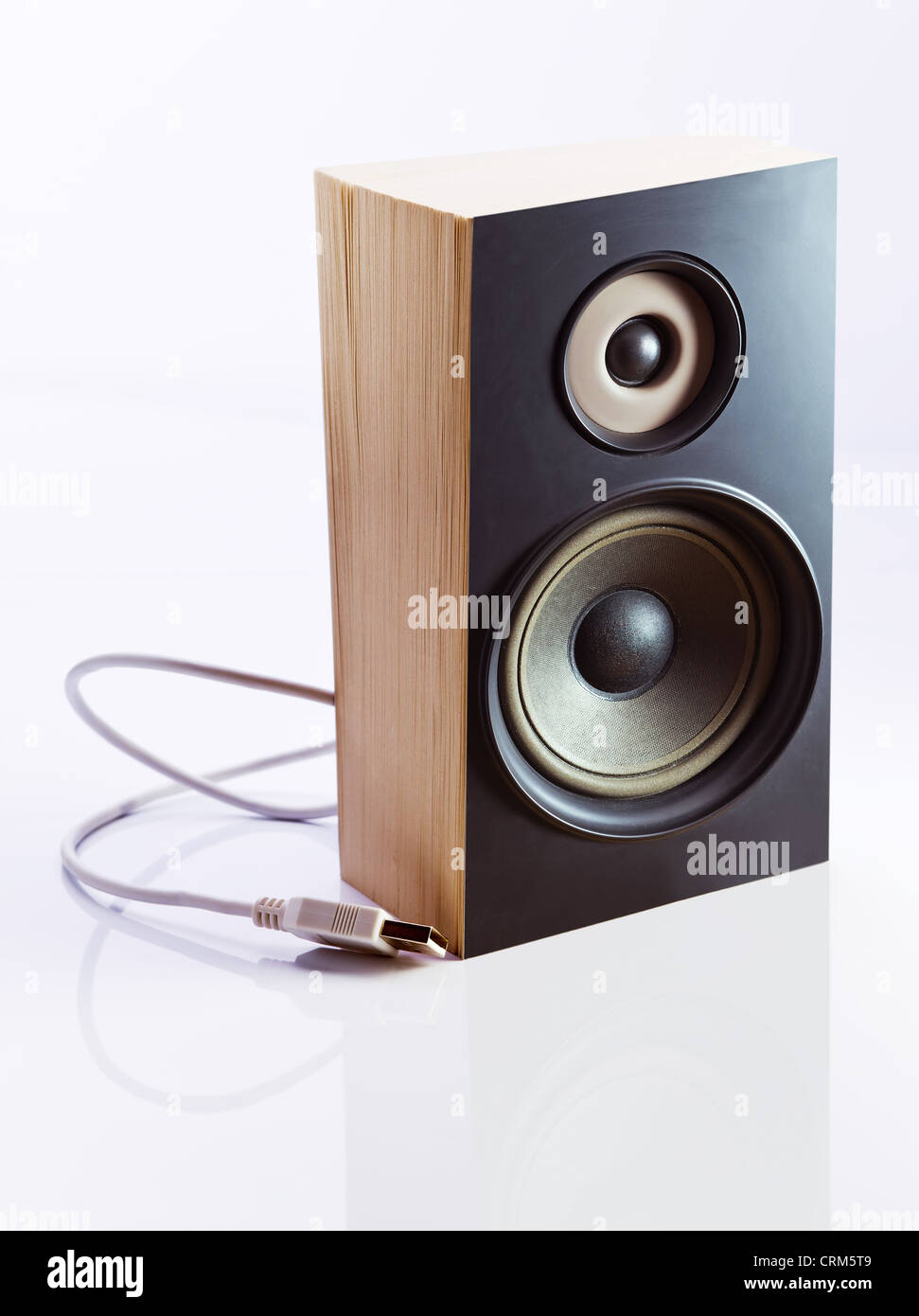 Livre audio avec câble USB sur un fond réfléchissant blanc. Banque D'Images