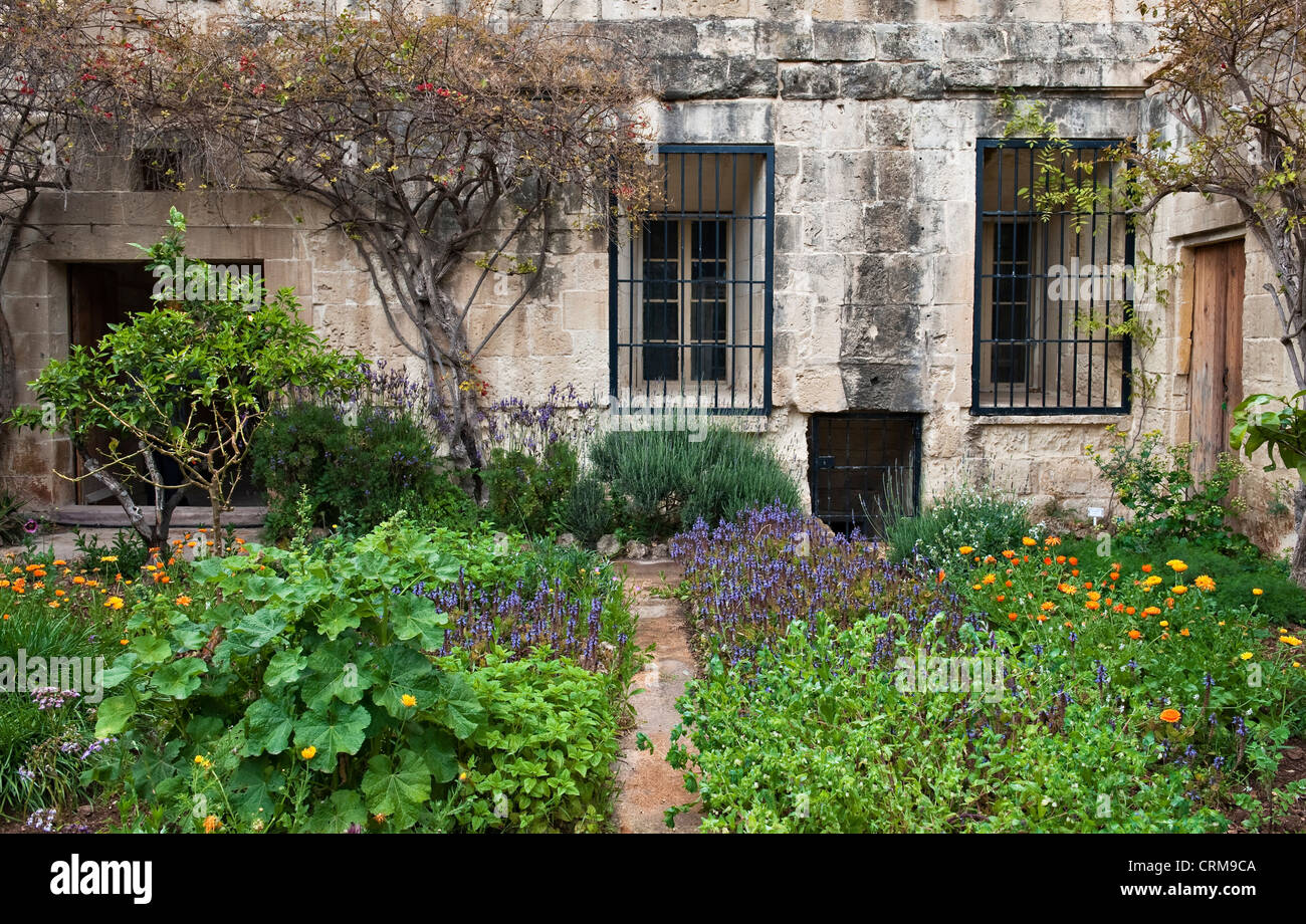 Jardins botaniques Argotti, Floriana, Malte Banque D'Images