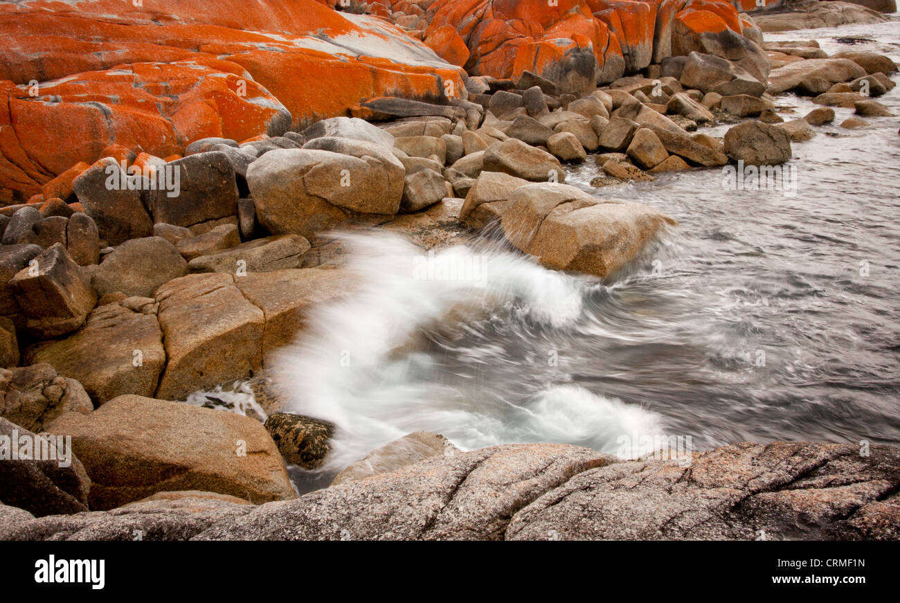 Vagues se brisant sur les rochers - Parc National de Bay of Fires Banque D'Images