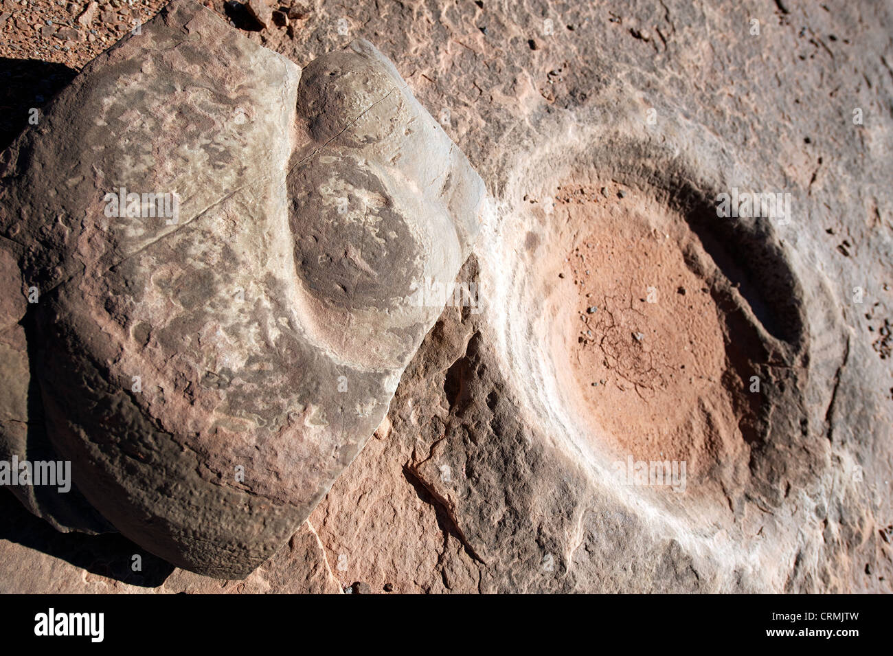 La bouse de dinosaure fossilisé et le tiret, il a laissé dans la pierre une fois retiré, AZ, États-Unis Banque D'Images