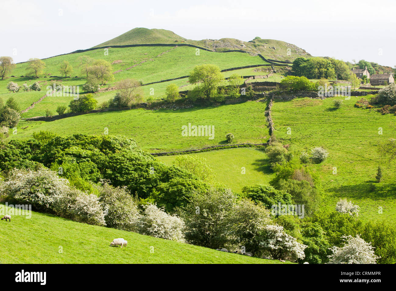 La campagne du Cheshire à la périphérie de Macclesfield, Cheshire, Royaume-Uni. Banque D'Images