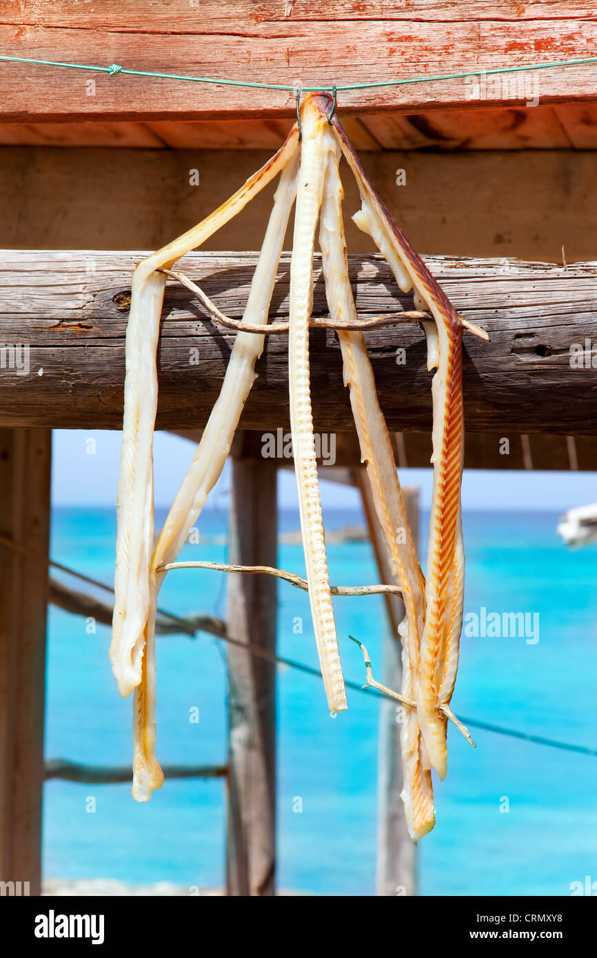 Le poisson séché peix sec typique des Baléares en Méditerranée islans à Formentera Banque D'Images