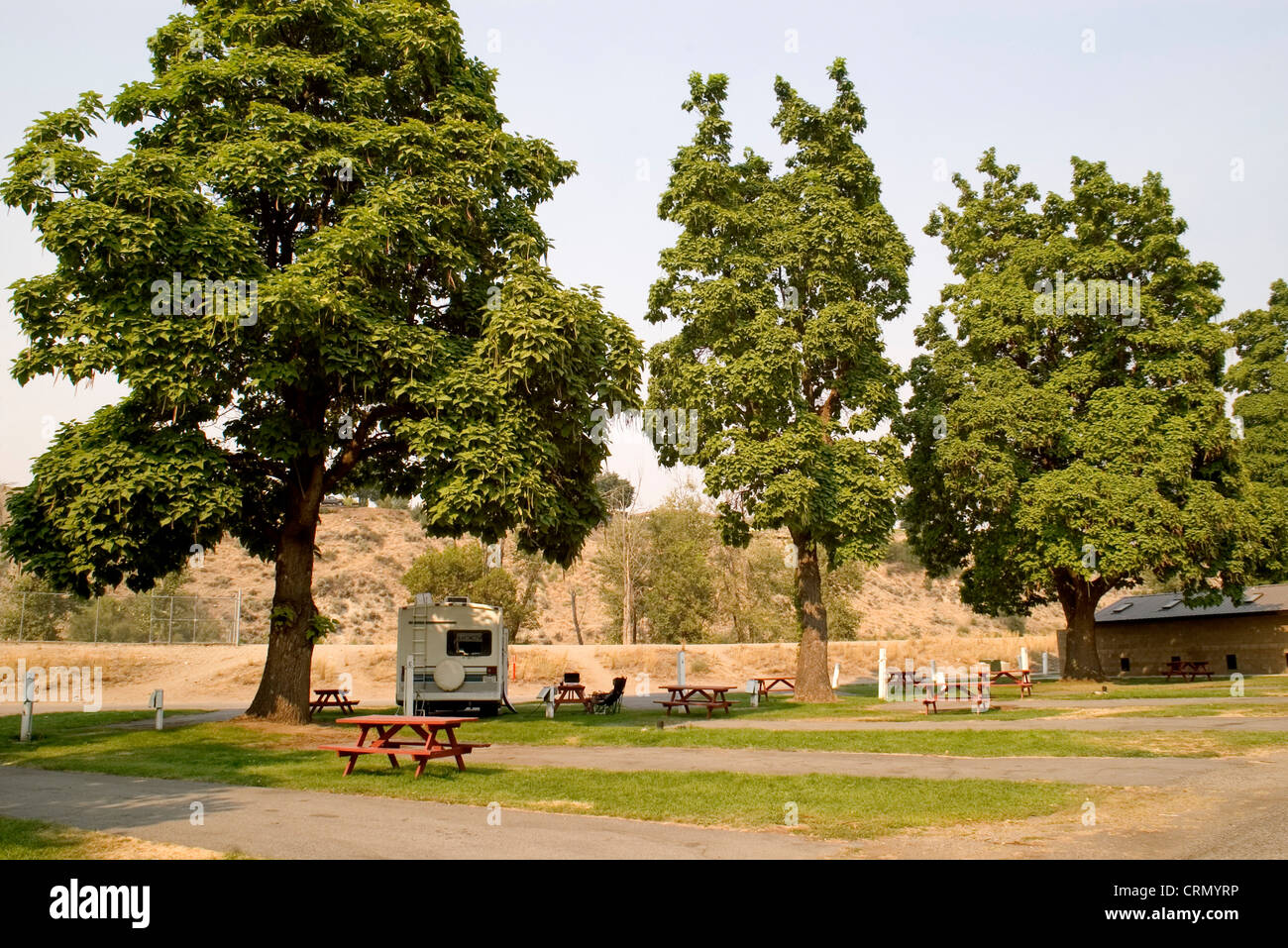 USA, Washington, Omak arbres Catalpa (Catalpa speciosa) ombre voyageurs dans Camping 2006 Stampede Banque D'Images