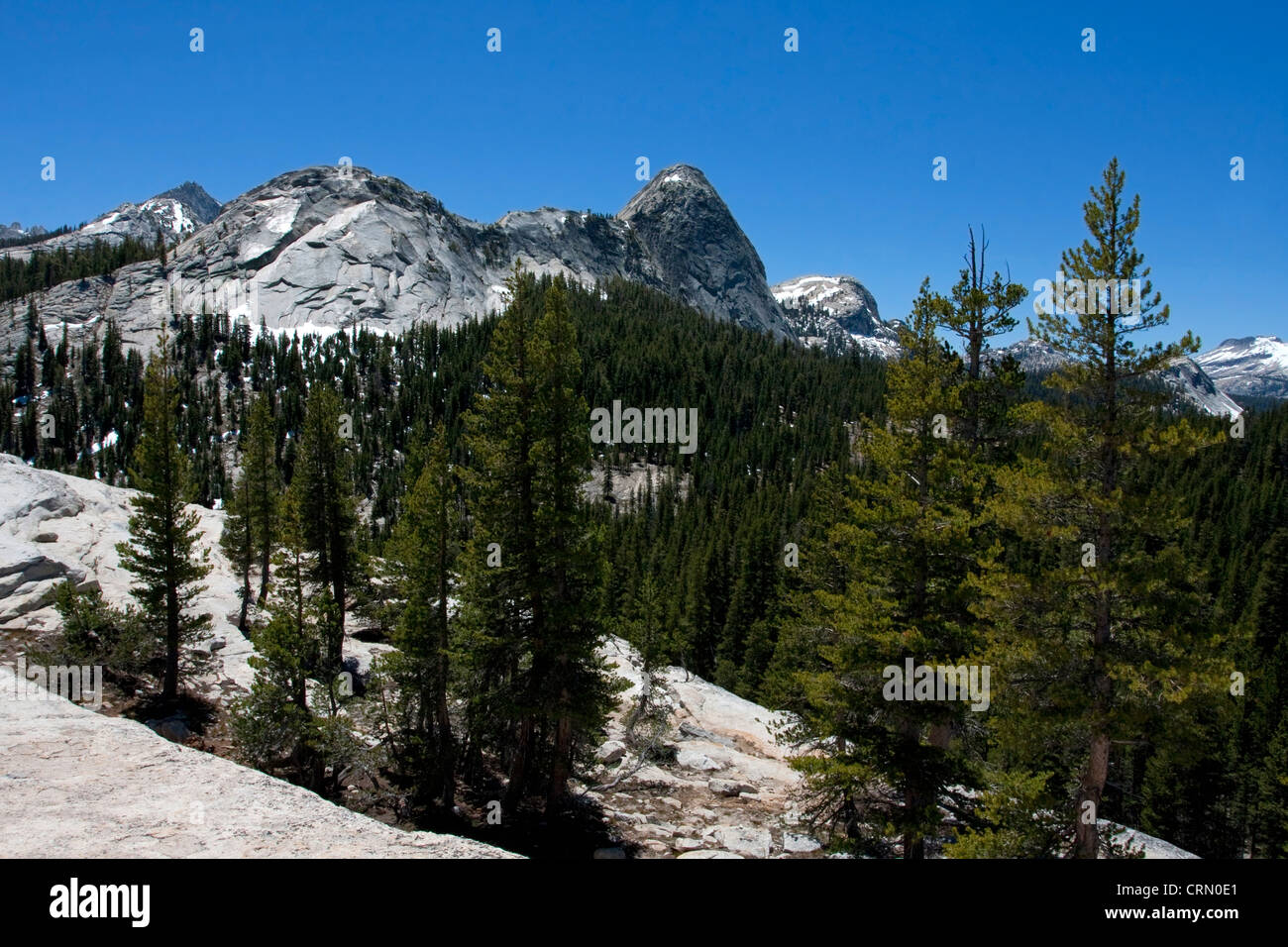 Vue de Lembert Dome Tuolumne Meadows, près de Yosemite National Park, California, USA en juillet Banque D'Images