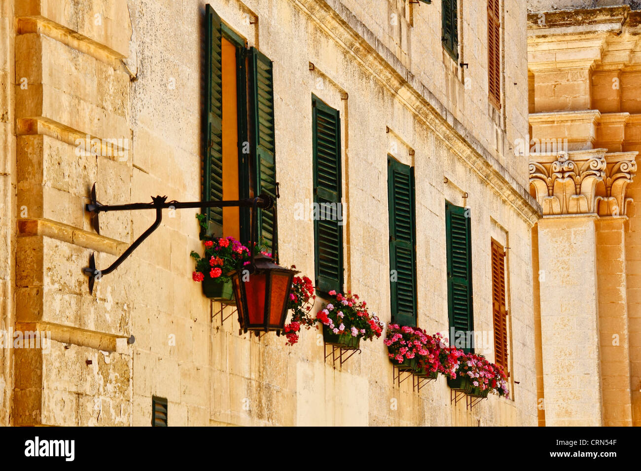 Volets à l'ancienne vert avec des fleurs dans l'ancien bâtiment Malte Banque D'Images