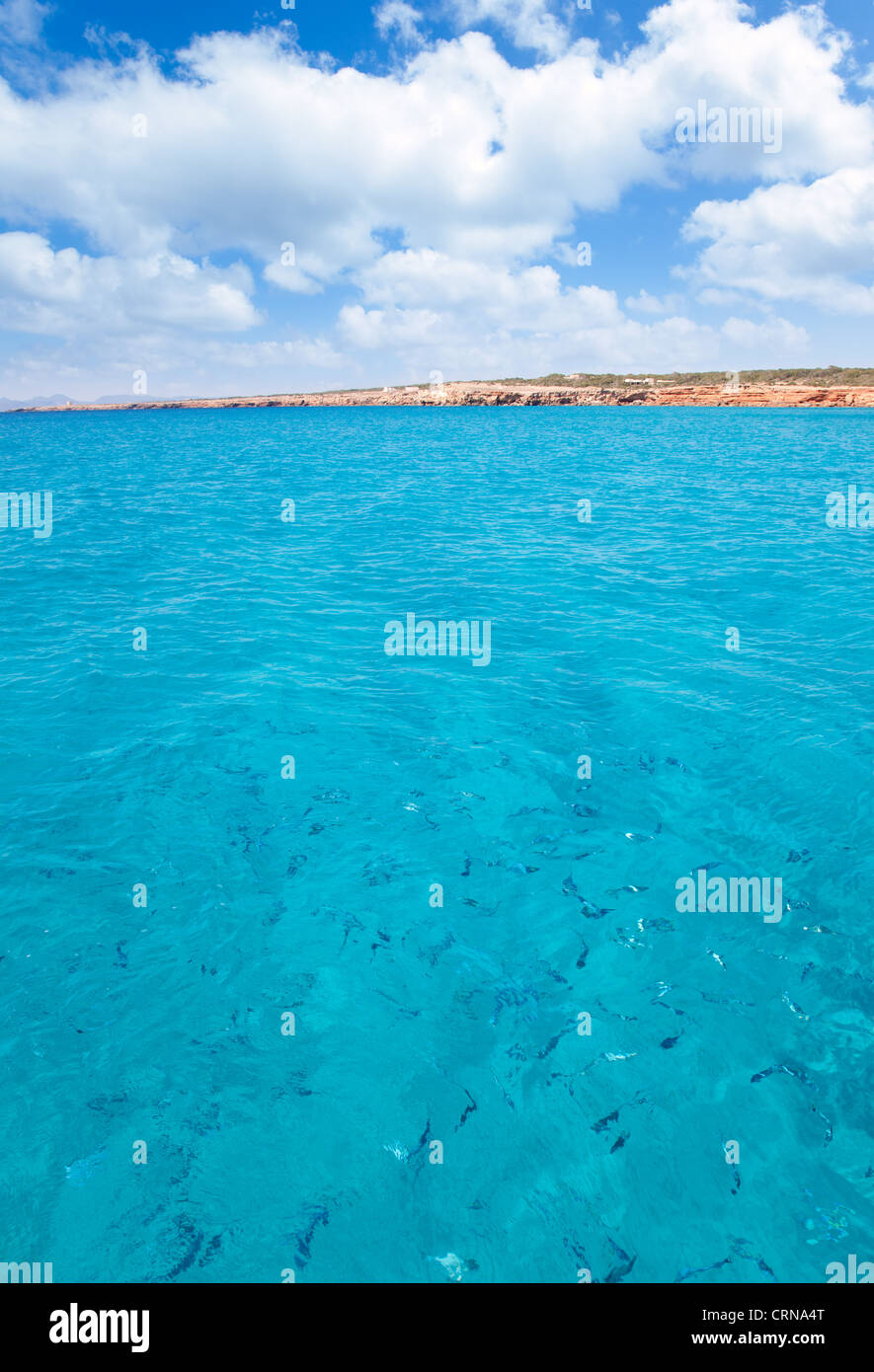 Plage de Cala Saona formentera avec poissons dans l'eau turquoise clair Banque D'Images