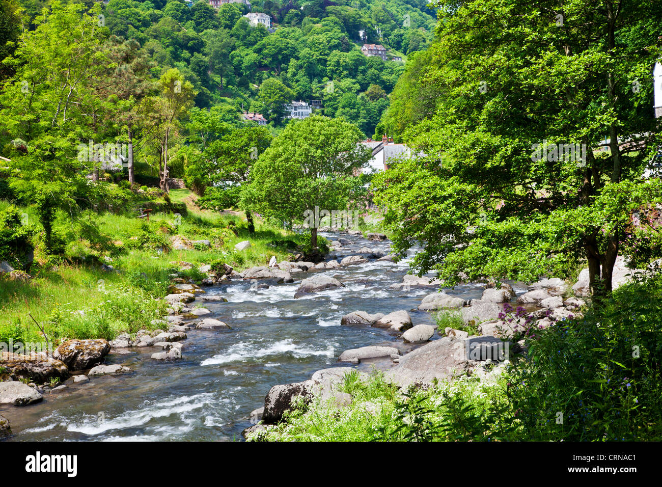 La rivière Lyn (Est) le long du chemin de Watersmeet à Lynmouth, North Devon, England, UK Banque D'Images