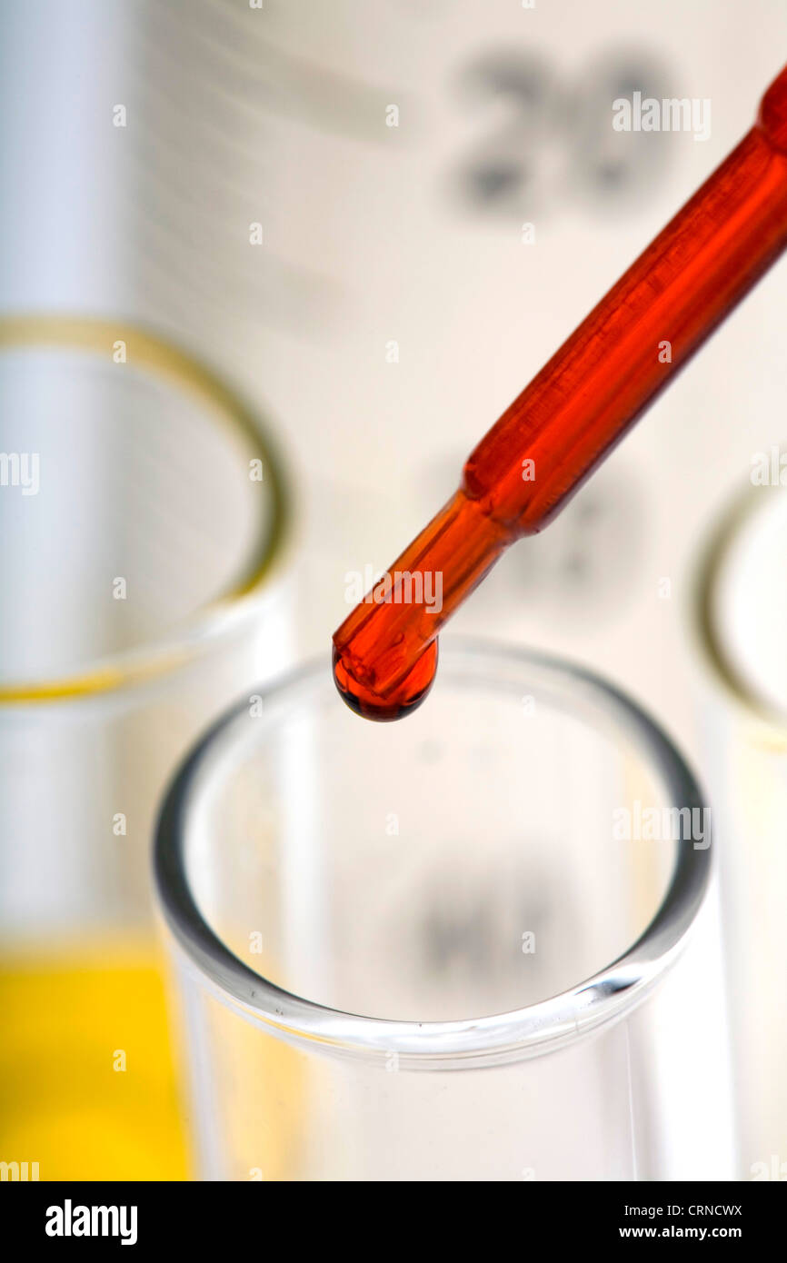 Le pipetage liquide rouge dans les tubes à essai. Banque D'Images