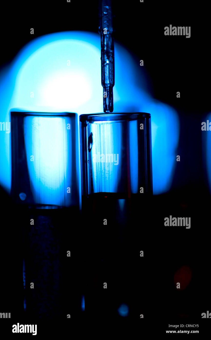 Un pipetage liquide clair dans les tubes à essai. Banque D'Images