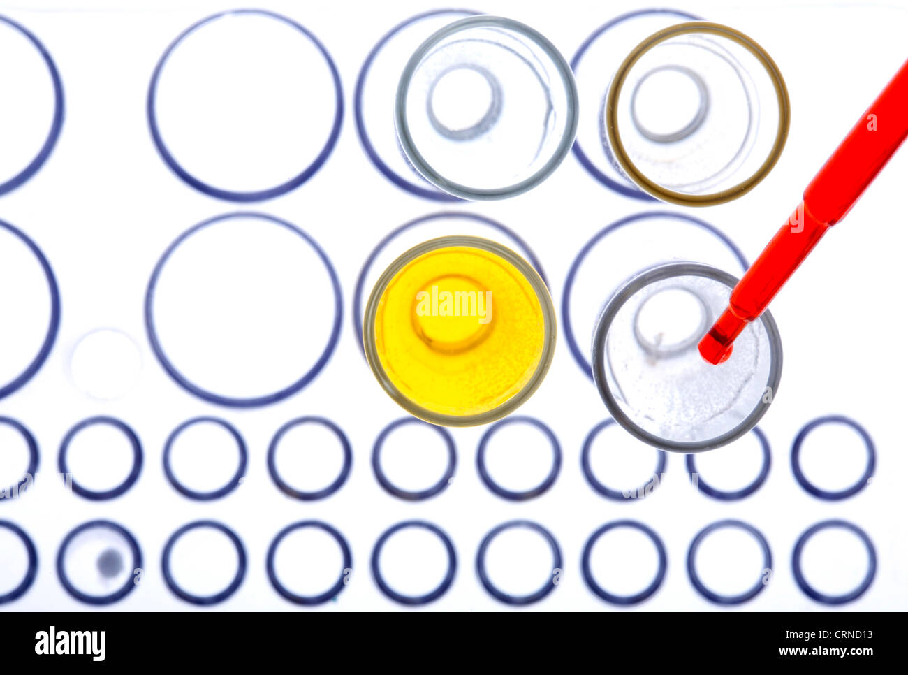 Le pipetage liquide rouge dans les tubes à essai. Banque D'Images