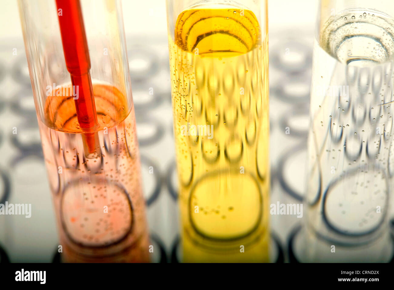 Le pipetage liquide rouge dans les tubes à essai. Banque D'Images