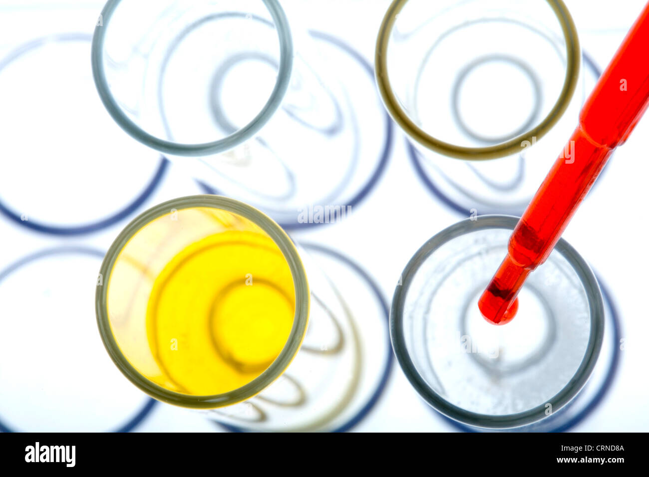 Le pipetage liquide rouge dans les tubes à essai. Banque D'Images