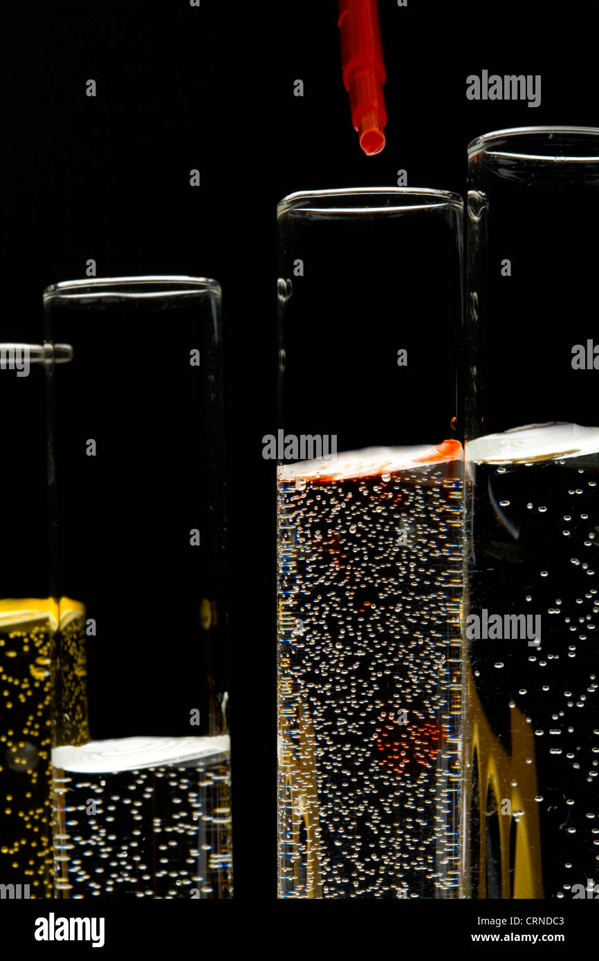 Le pipetage liquide rouge dans les tubes à essai. Banque D'Images