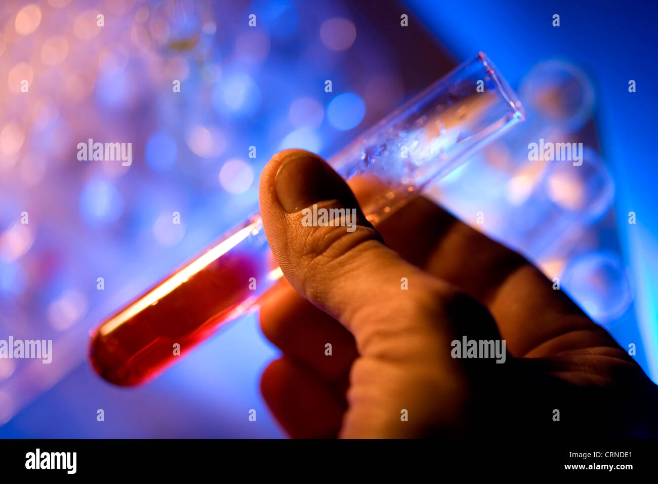 Une main est titulaire d'un tube à essai qui est à moitié rempli avec un liquide rouge. Banque D'Images