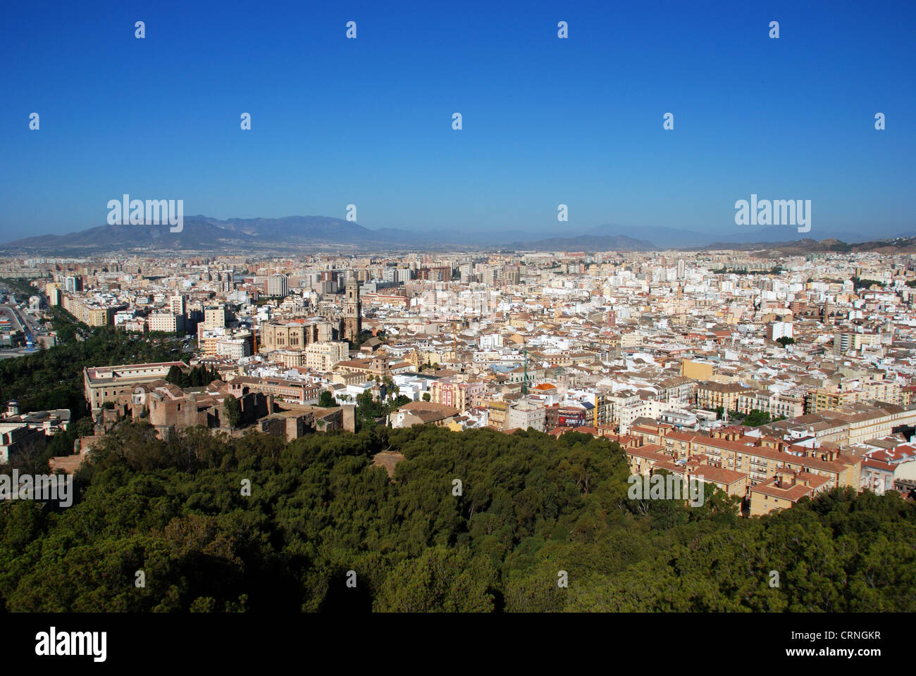 Portrait de la ville avec la cathédrale, Malaga, Costa del sol, la province de Malaga, Andalousie, Espagne, Europe de l'ouest. Banque D'Images