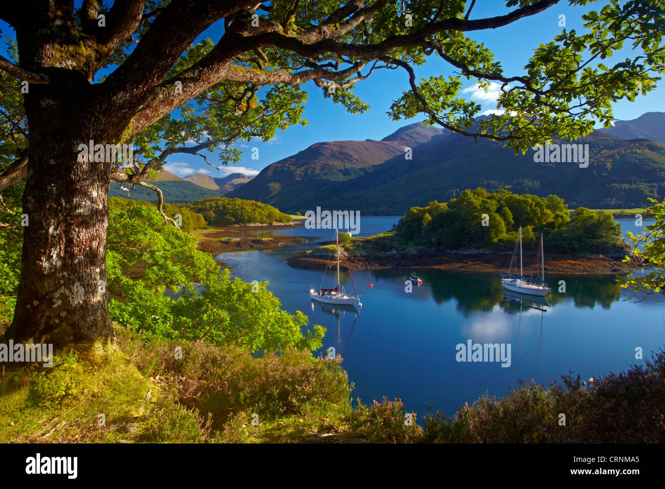 Yachts ancrés dans les eaux calmes du Loch Leven à Bishop's Bay. Banque D'Images Yachts ancrés dans les eaux calmes du Loch Leven à Bishop's Bay. Banque D'Images