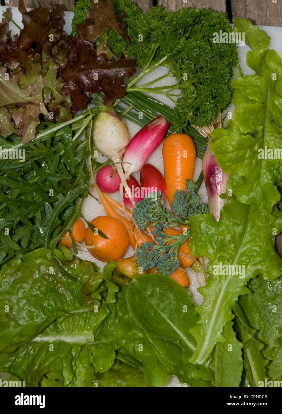 Légumes biologiques cultivés frais maison Banque D'Images