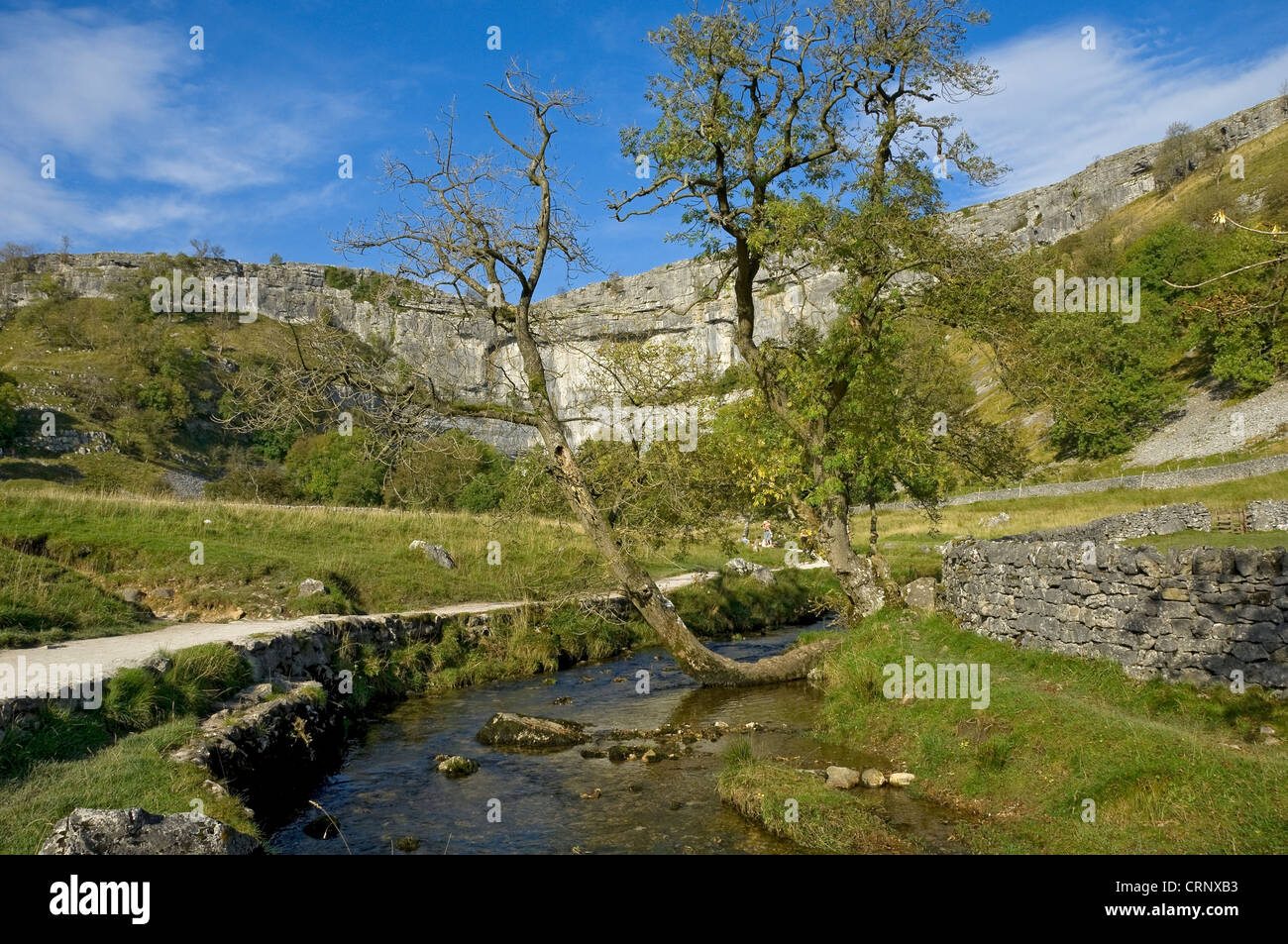 Sentier aux côtés de Malham Beck avec Malham Cove, une spectaculaire formation calcaire incurvée dans le Yorkshire Dales National Park, Banque D'Images