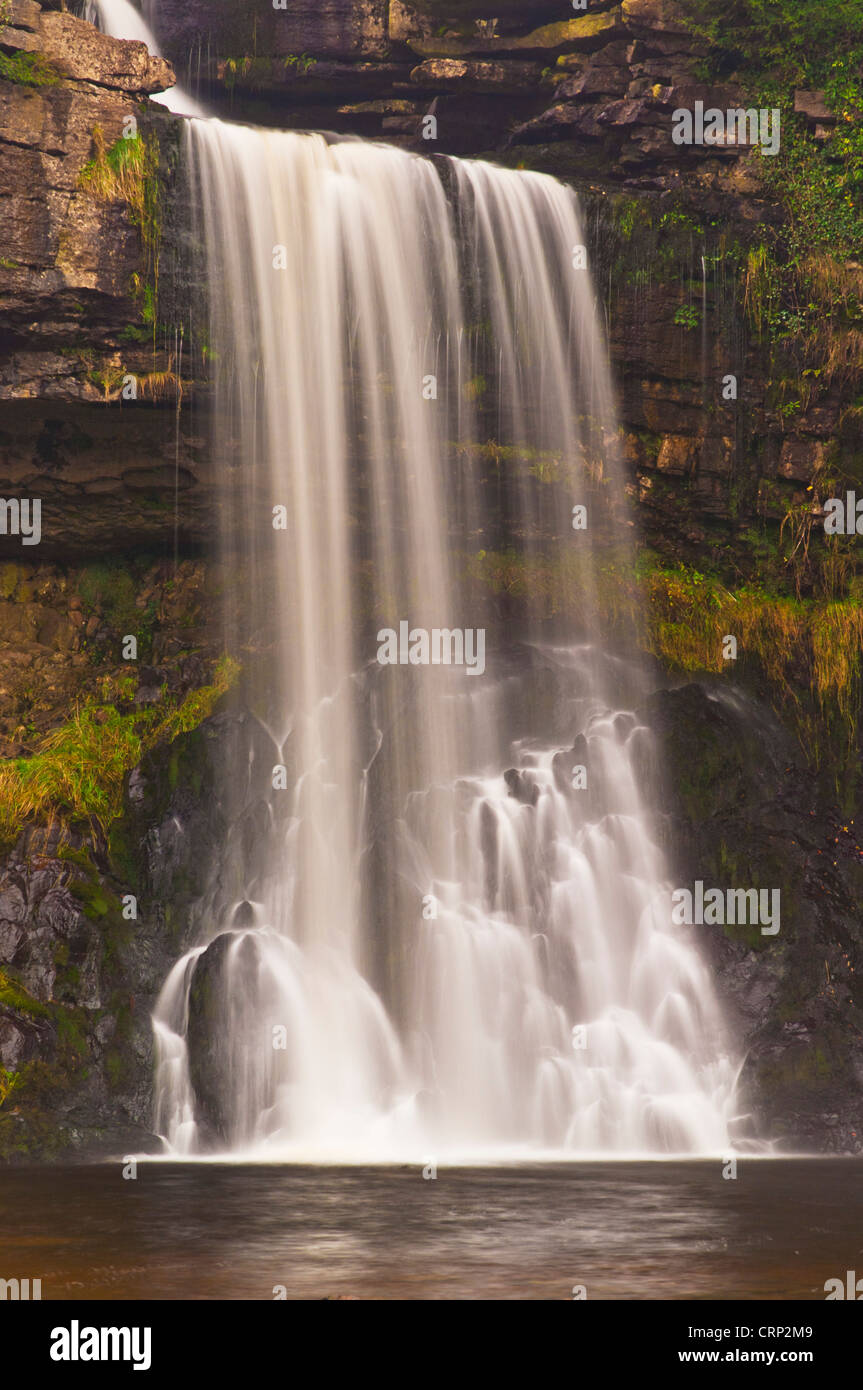 Parc national des Yorkshire Dales chute d'eau Thornton force à Ingleton Waterfalls Walk Ingleton Yorkshire dales North Yorkshire Angleterre Royaume-Uni GB Europe Banque D'Images