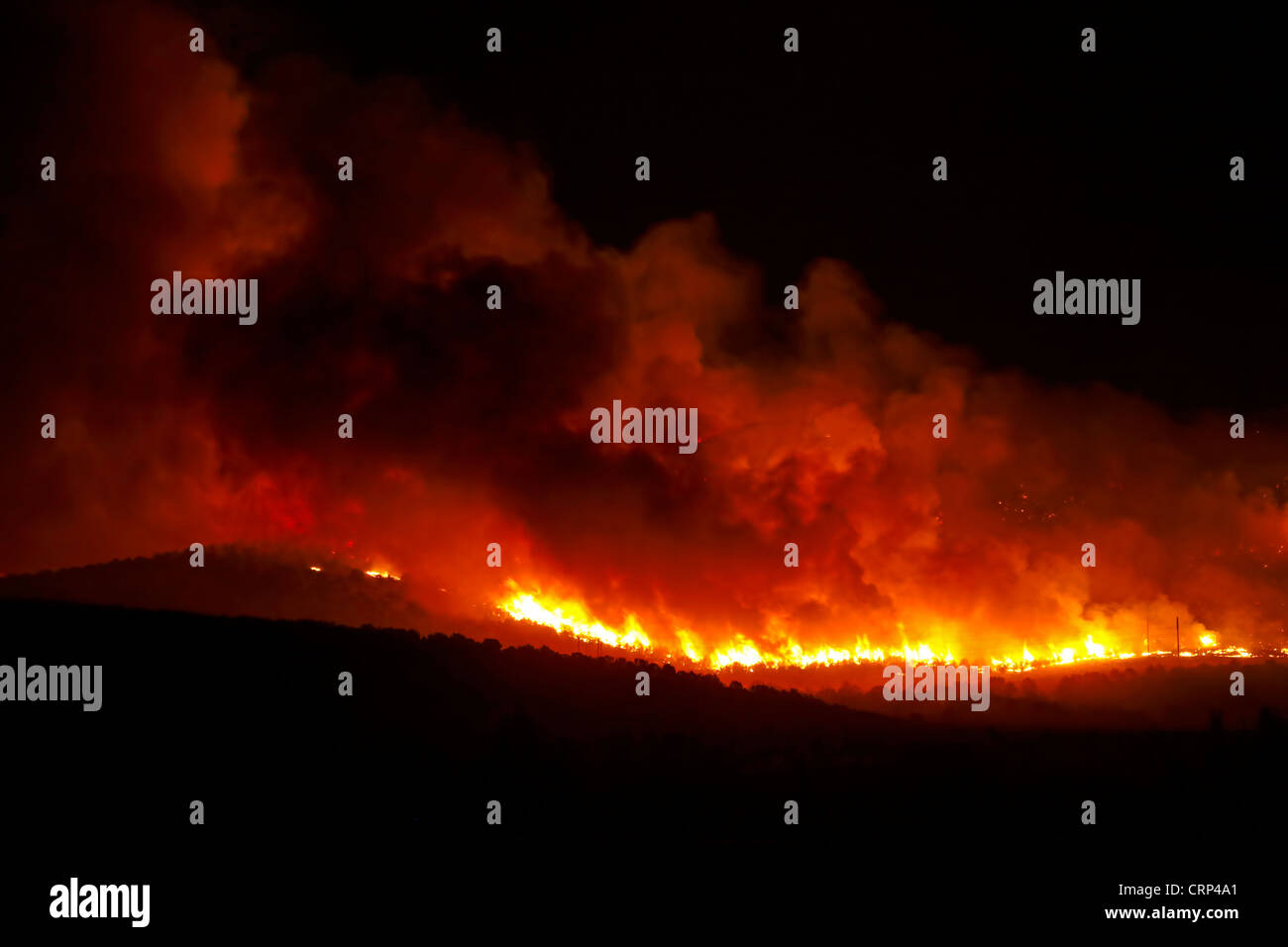 Forest Fire burns hors de contrôle pendant la nuit dans le bois du Canyon creux. Flammes brûler sur montagne et désert. Banque D'Images