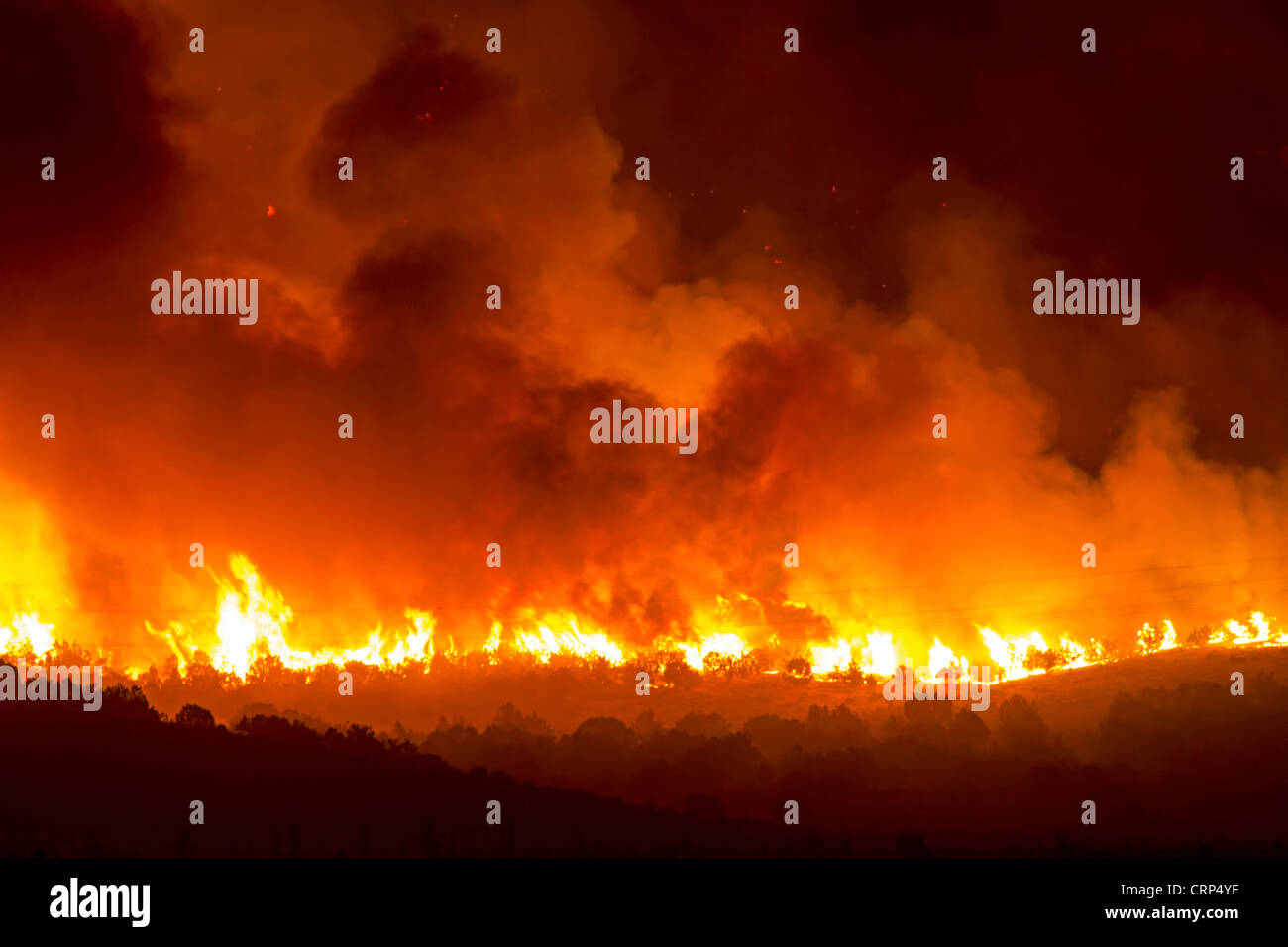 Forest Fire burns hors de contrôle pendant la nuit dans le bois du Canyon creux. Flammes brûler sur montagne et désert. Banque D'Images
