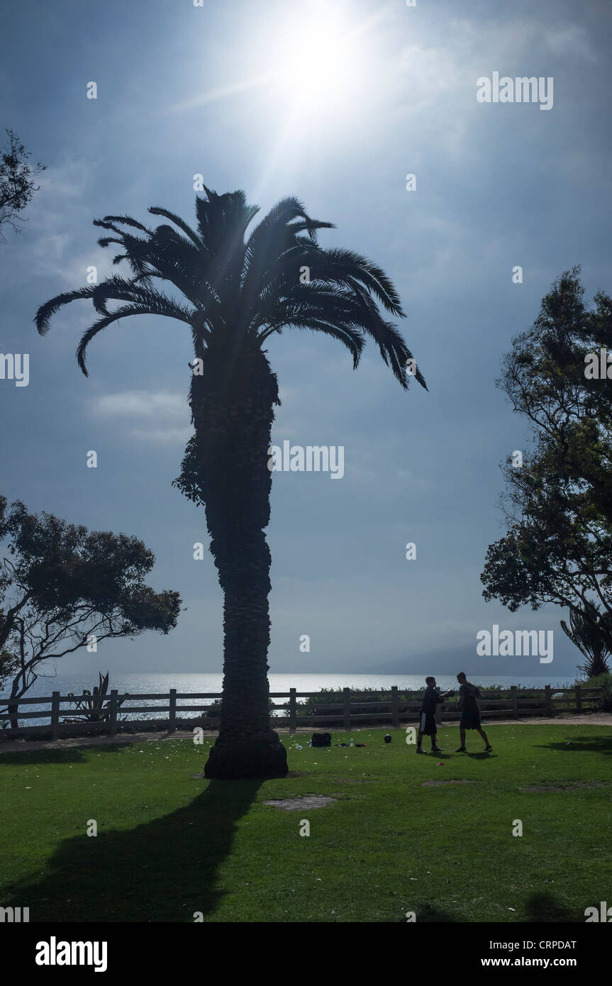 Silhouette tourné montrant 2 personnes exerçant (boxercise) sur l'herbe sous un palmier Banque D'Images