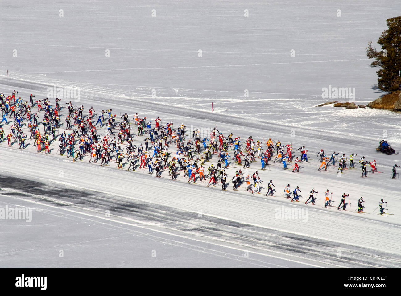 Skieur de fond au cours de l'Engadine Ski Marathon, vallée de la Haute-engadine, Suisse Banque D'Images