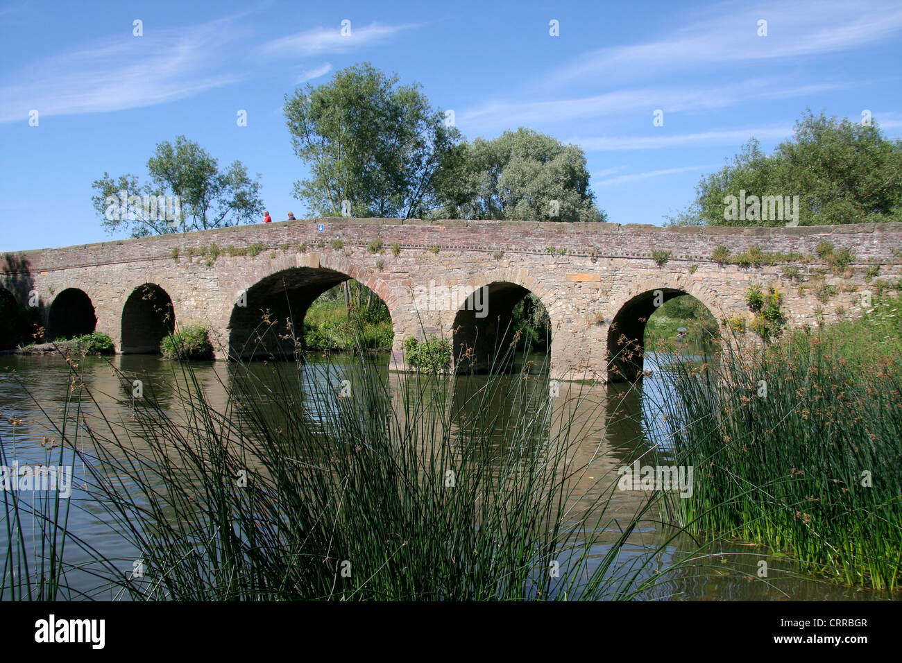 Pont médiéval Avon Royaume-uni Angleterre Worcestershire Pershore Banque D'Images