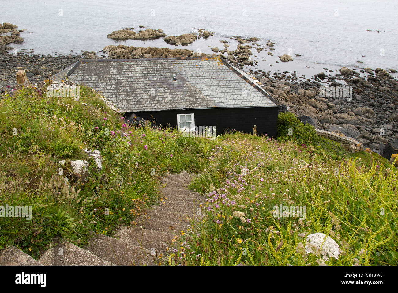 Seaside Cottage côtière dans Cornwall Coverack Banque D'Images