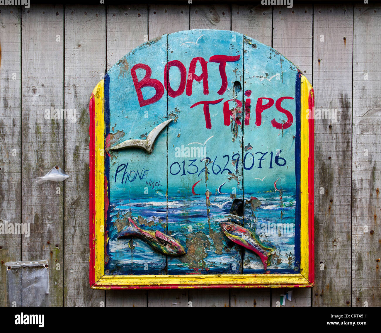 Des excursions en bateau Sign in Cadgwith Cove près de Helston Cornwall UK Banque D'Images
