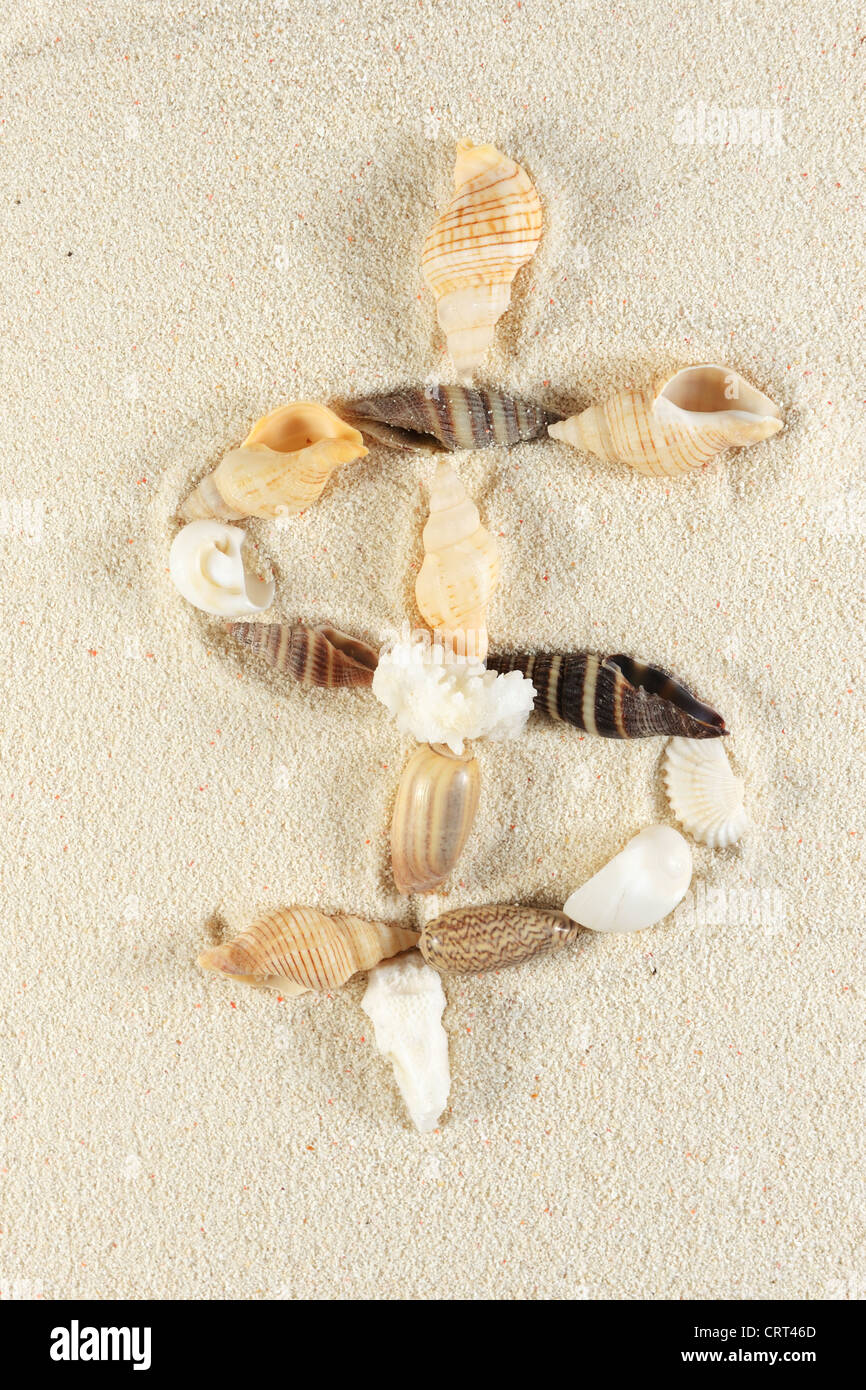 Signe Dollar faites de coquillages sur le sable Banque D'Images