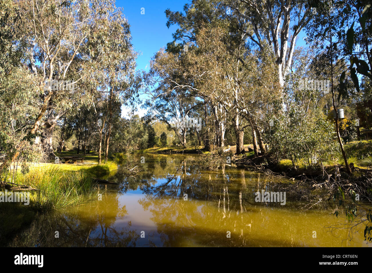 Un Anabranch du fleuve Murray, Wonga Wetlands, Albury, New South Wales, Australie Banque D'Images