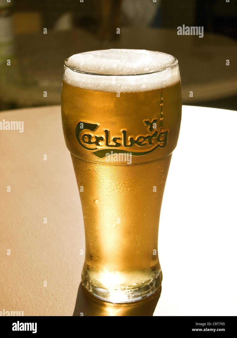 Bière - une pinte de Carlsberg chatoyante froid lager beer Banque D'Images