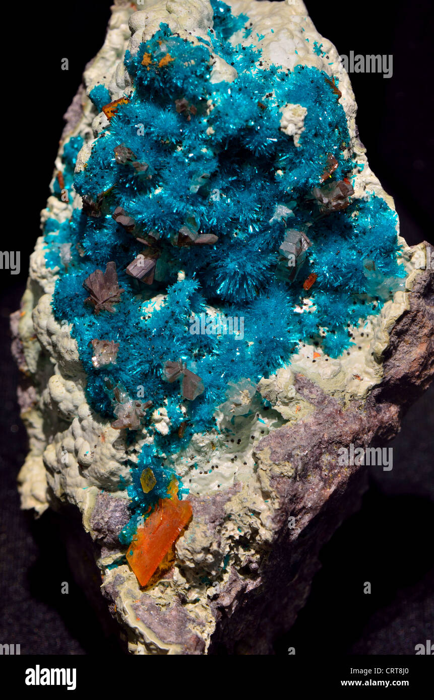 Un spécimen de minéral contenant bleu vert et gris dioptase cerussi Banque D'Images