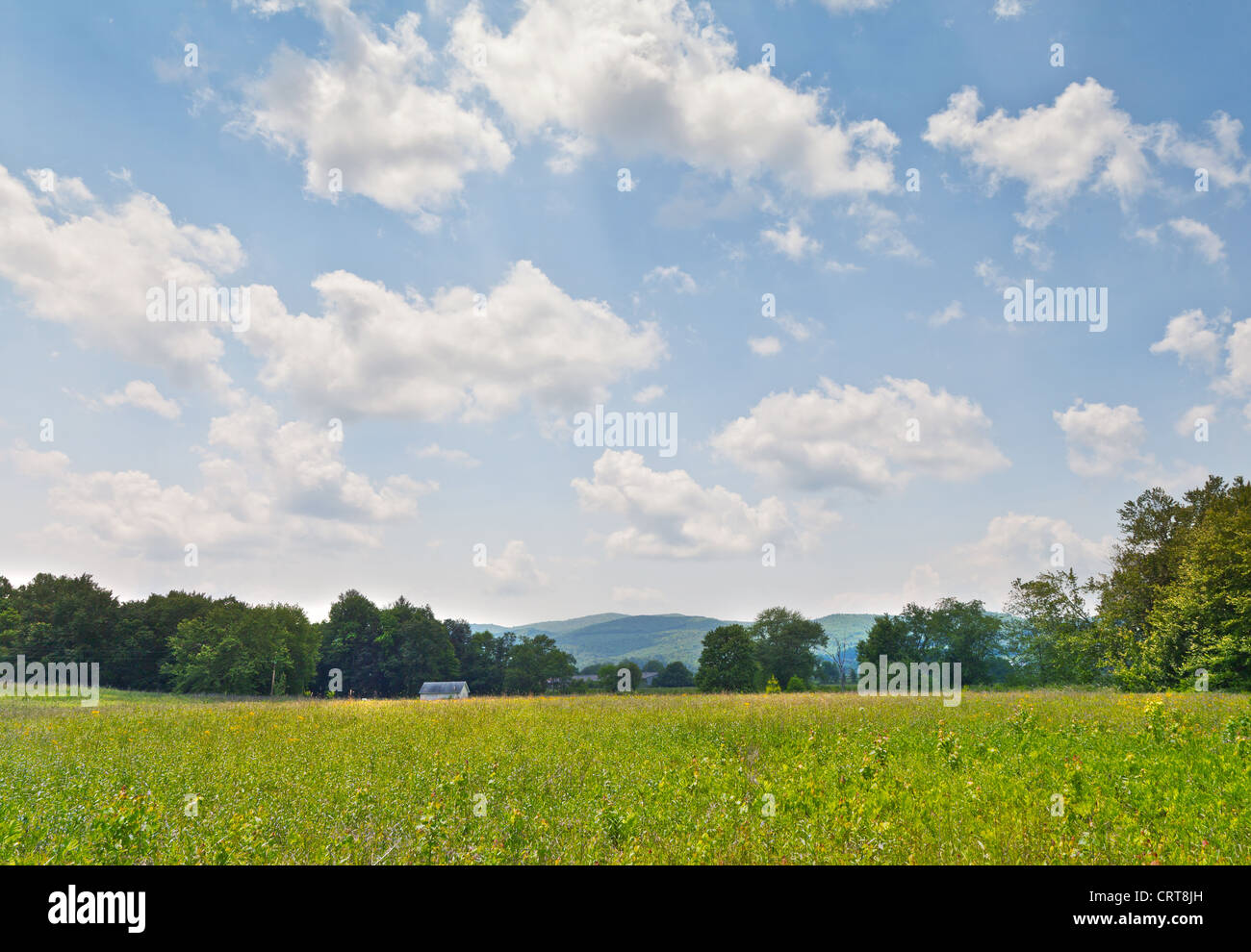 Shady Valley, New York paysage avec domaine et nuages Banque D'Images