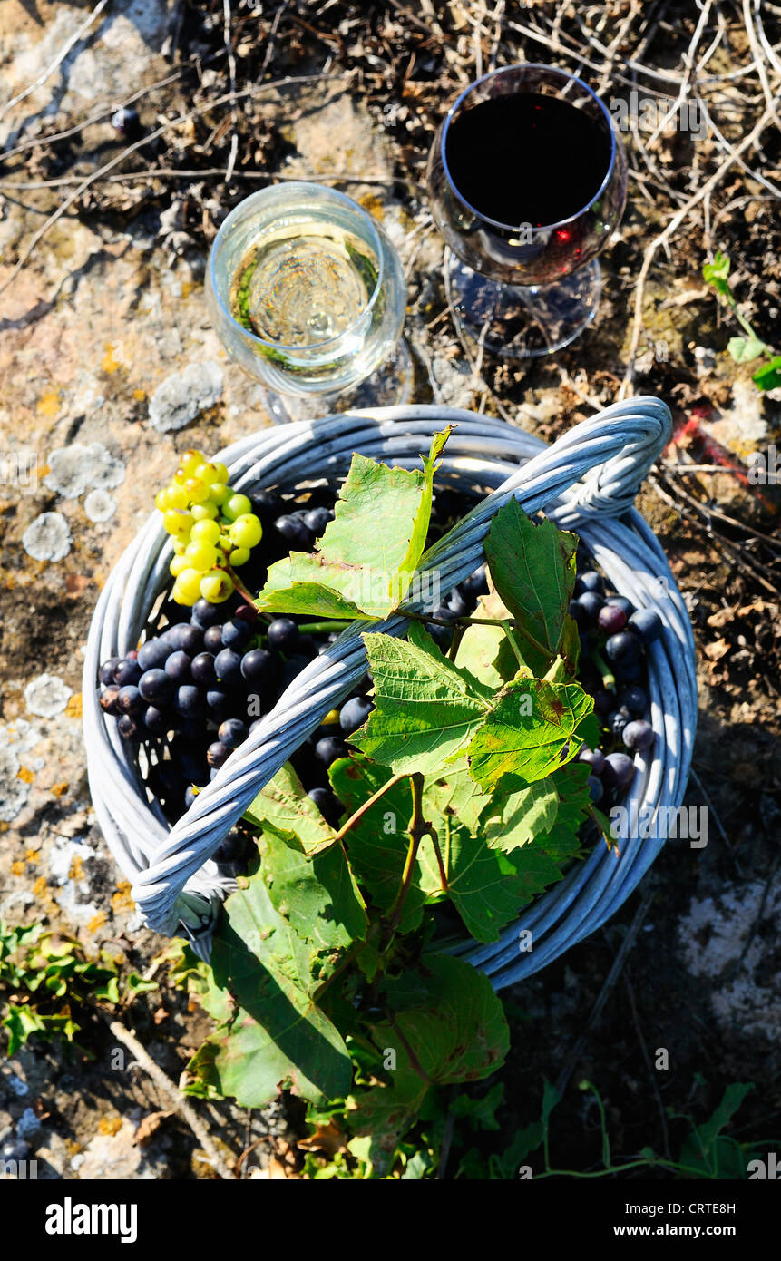 Verres de vin et de cépages dans panier Banque D'Images