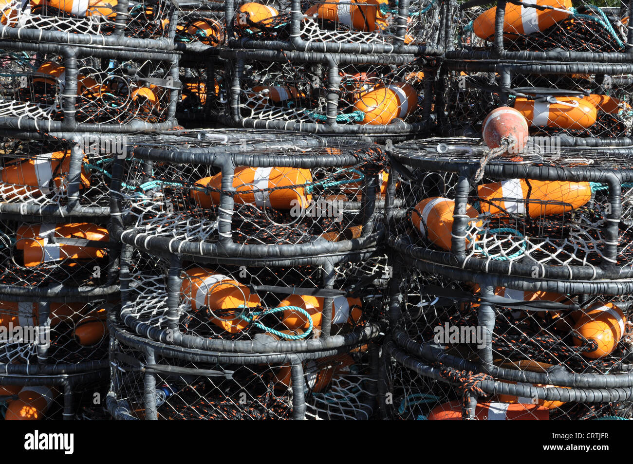 Pots de crabe Banque D'Images