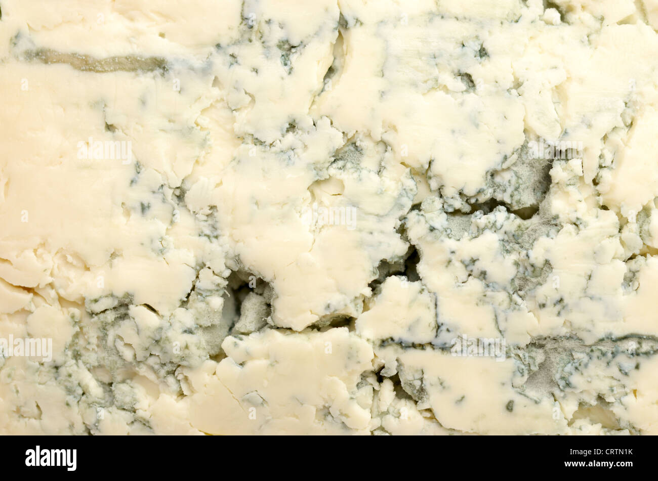 Close up de fromage bleu Banque D'Images