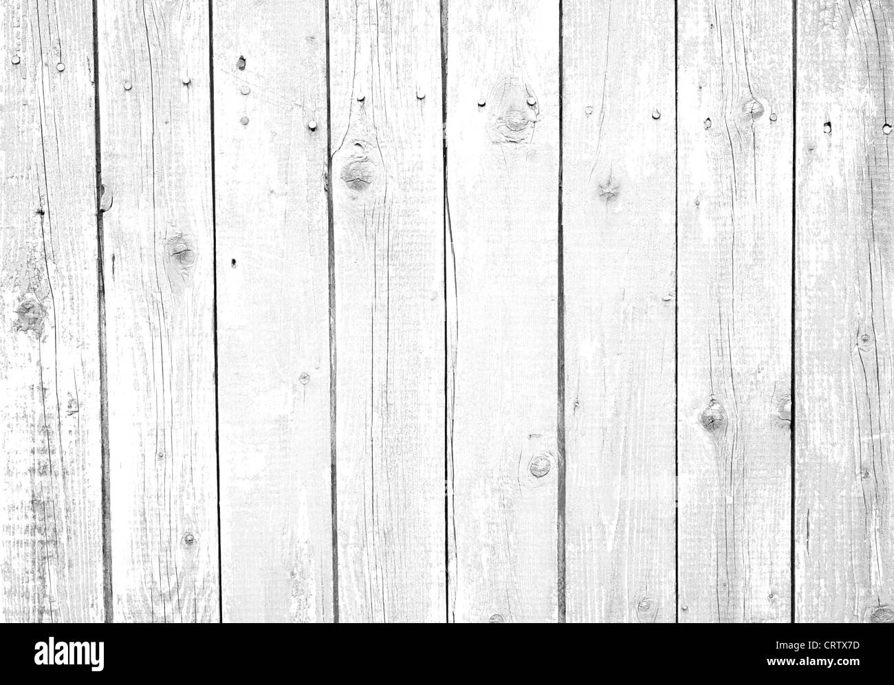 Vue rapprochée de la viande de chien Banque D'Images