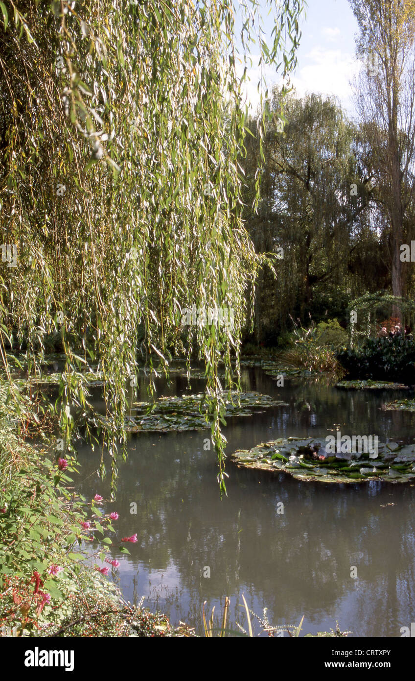 La maison et les jardins de Monet à Giverny - La mare aux nynphéas Banque D'Images