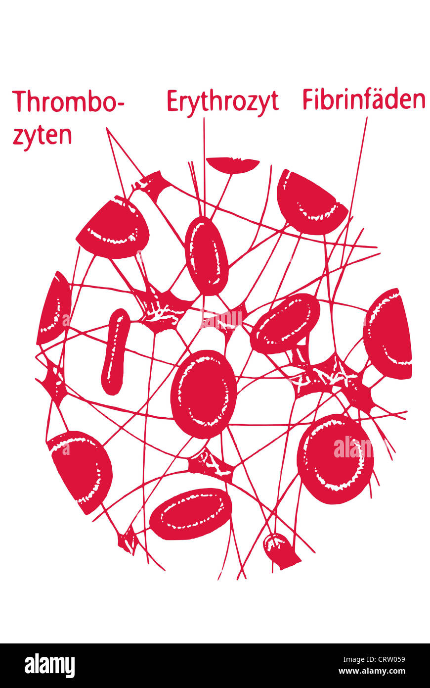 sang Banque D'Images