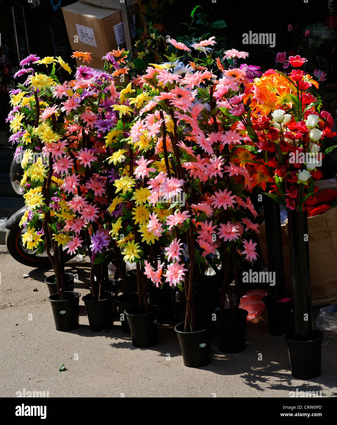 Fleurs en plastique en vente chez un fleuriste à Colombo, Sri Lanka Banque D'Images