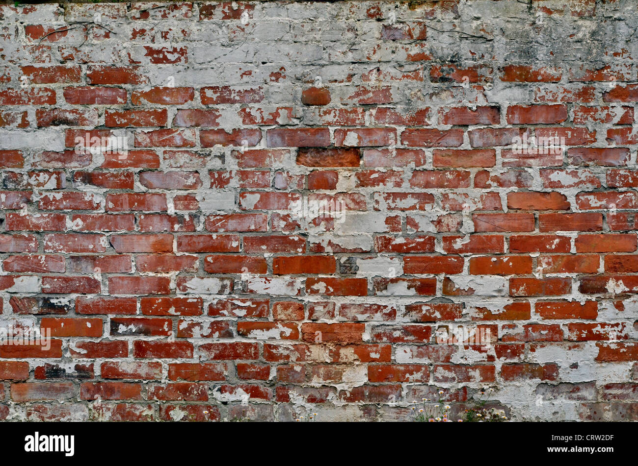 Vieux mur de briques / briques montrant des signes d'âge / de pourriture avec écaillage de la peinture. Allégorie pour « pare-feu » ou « accès refusé » au fichier et texture de brique abstraite. Banque D'Images