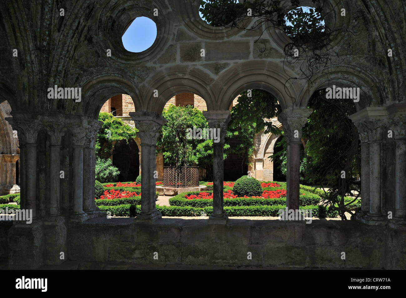 Cloître et bien à l'abbaye Sainte-Marie de Fontfroide abbaye, monastère cistercien dans le Languedoc, Pyrénées, France Banque D'Images