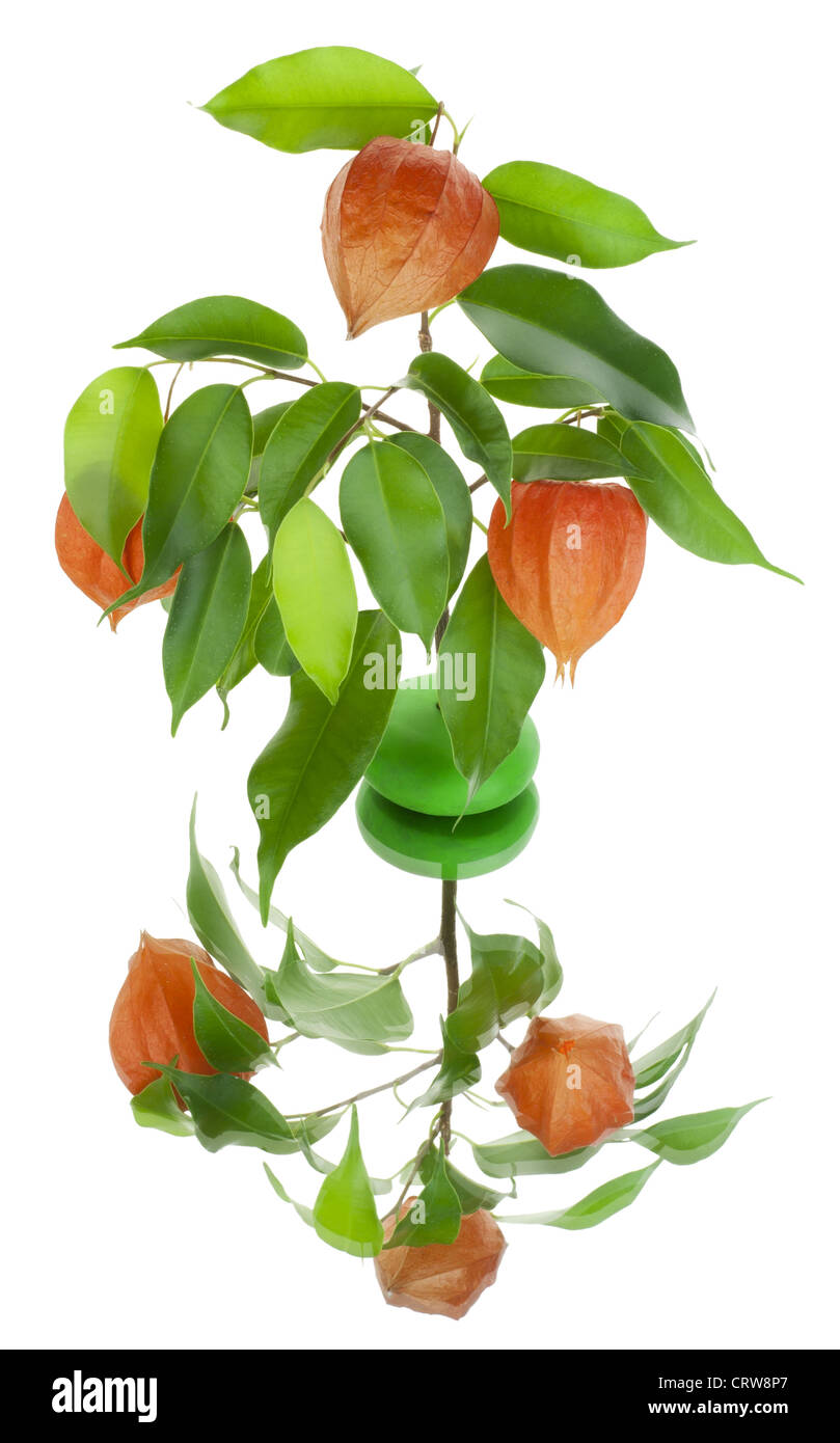 Concept d'arbre de Noël Banque D'Images