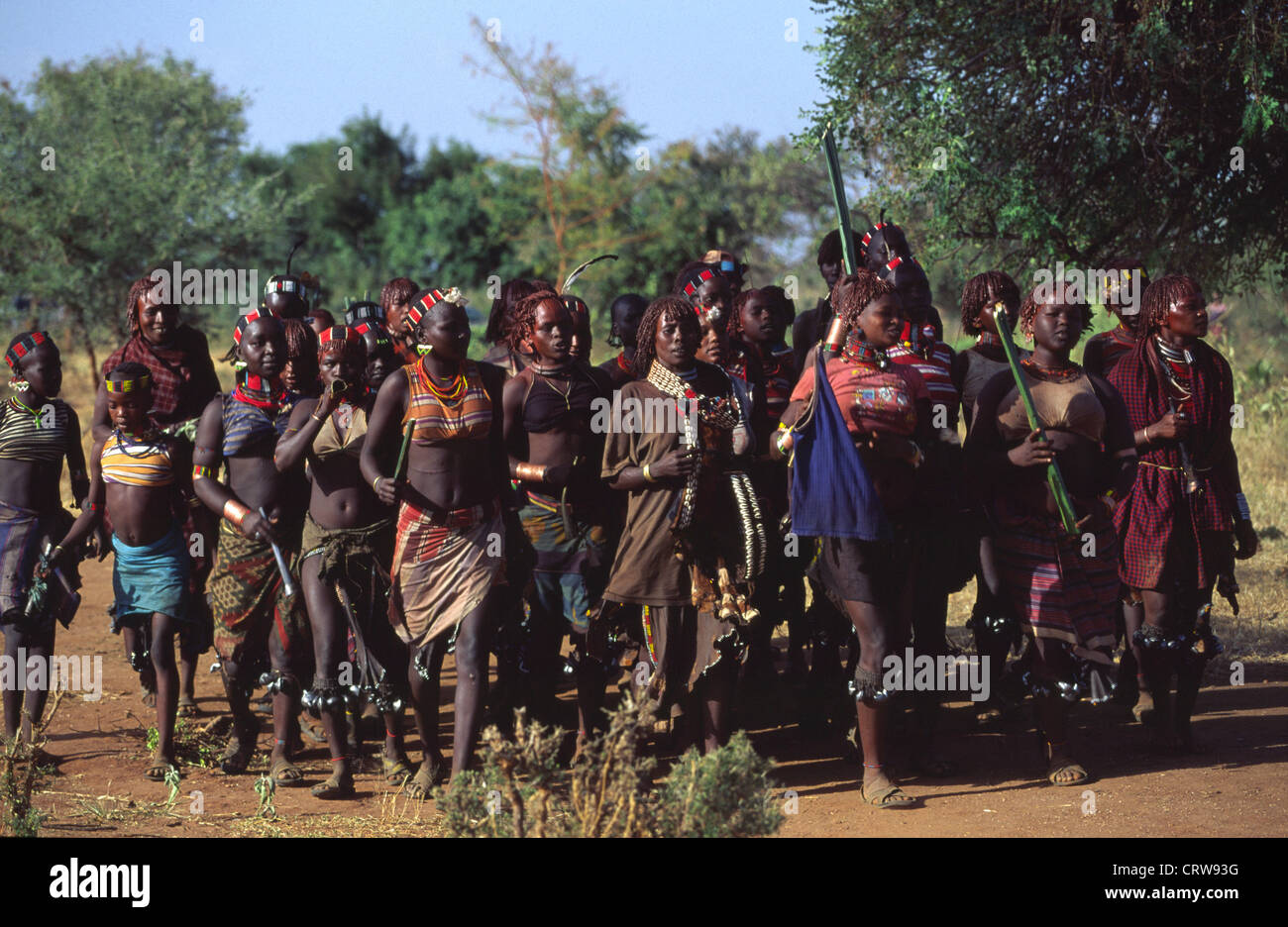 Bull jumping cérémonie, sero village près de Dimeka vallée de l'Omo, Ethiopie, Afrique du Sud Banque D'Images